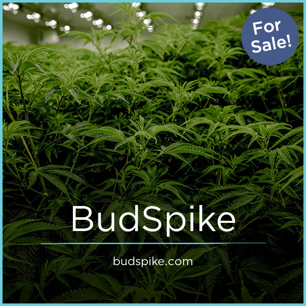 BudSpike.com - Cool premium domain marketplace