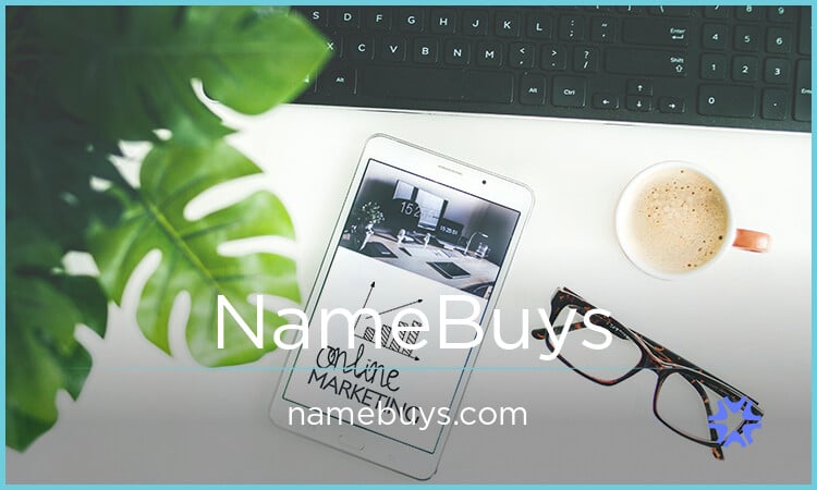 NameBuys.com image 2