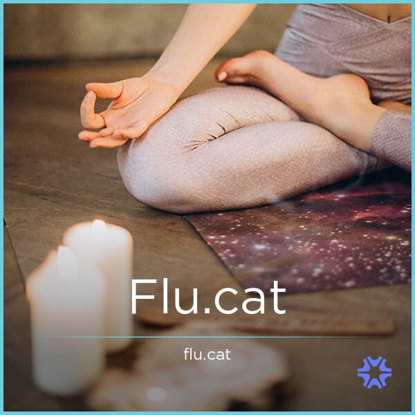 Flu.cat image 2