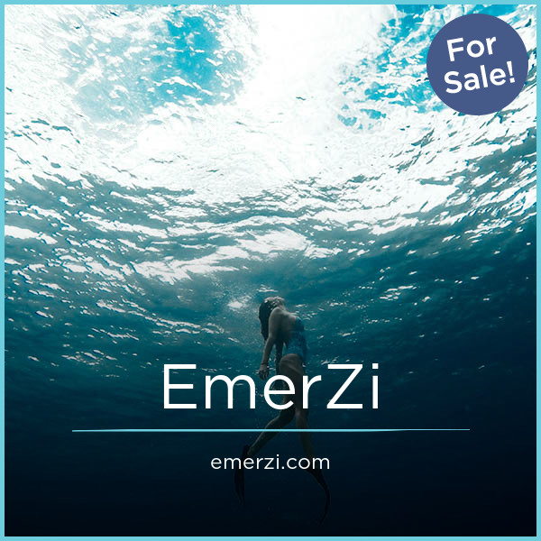 EmerZi.com image 2