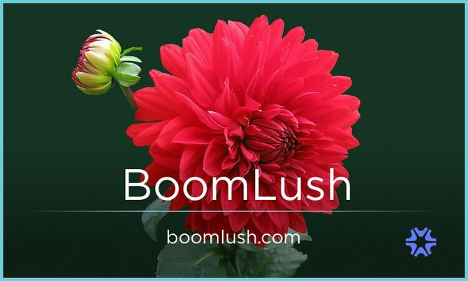 BoomLush.com