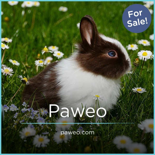 Paweo.com - Cool premium domain marketplace
