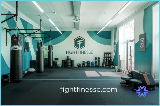FightFinesse.com — 2