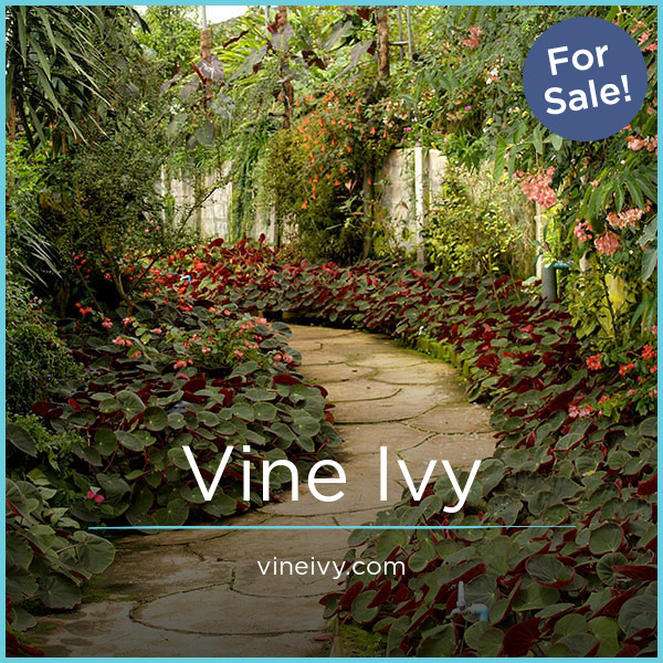VineIvy.com - Creative premium domain names