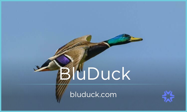 BluDuck.com image 2