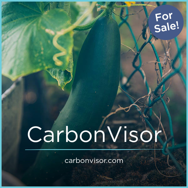 CarbonVisor.com - New domains for sale