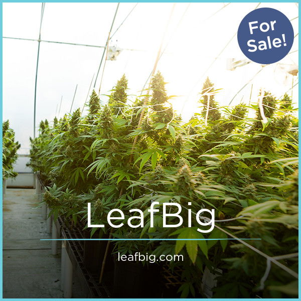 LeafBig.com