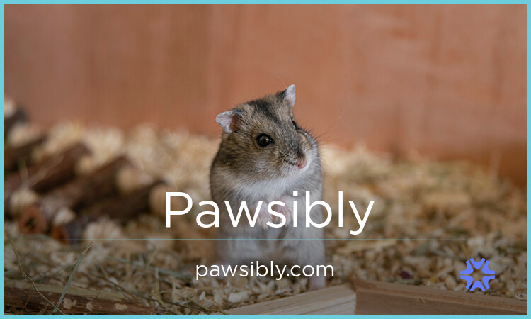 Pawsibly.com - Unique premium domains for sale