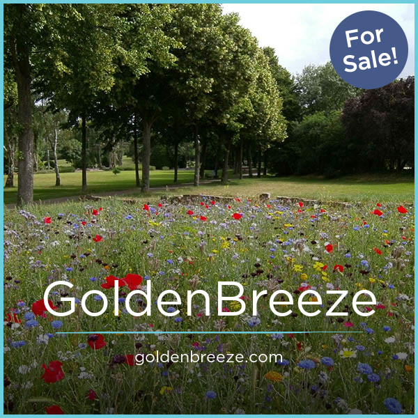 GoldenBreeze.com - buying Cool premium names