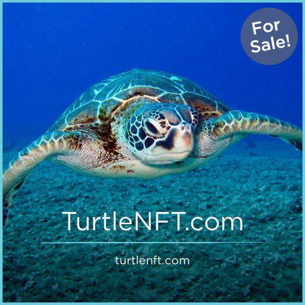 TurtleNFT.com