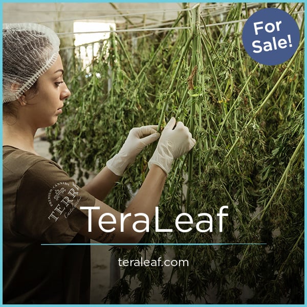 TeraLeaf.com - Creative premium names