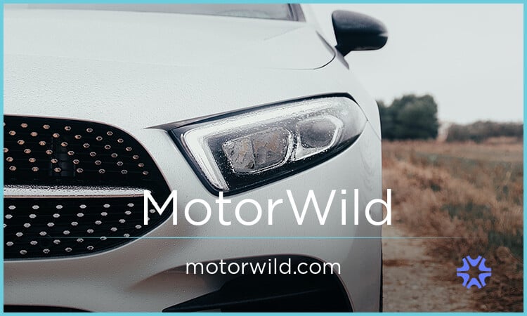 MotorWild.com image 2