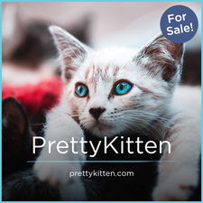 PrettyKitten.com - Catchy premium domain names for sale