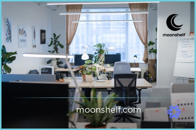 MoonShelf.com image 2