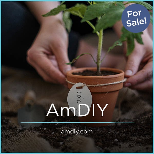 AmDIY.com image 2