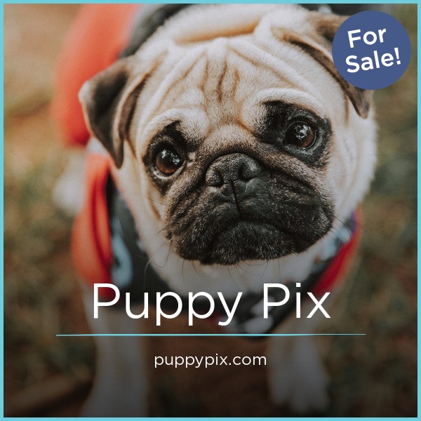 PuppyPix.com - Best premium domain names for sale