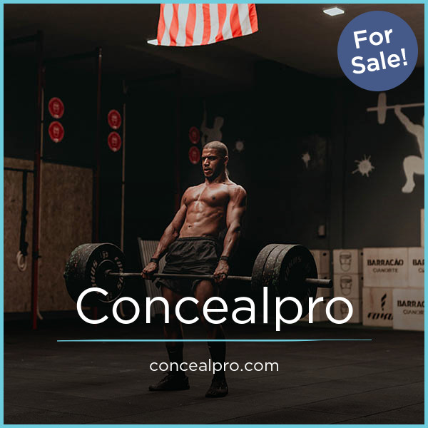 ConcealPro.com image 2
