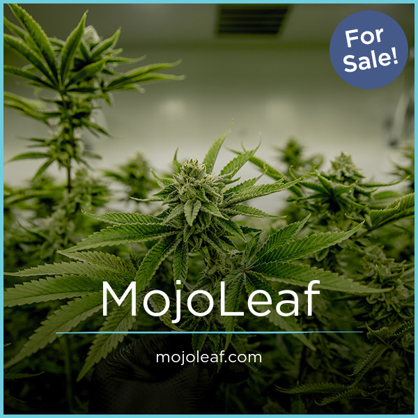 MojoLeaf.com - Best premium domain names