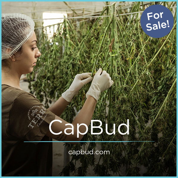 CapBud.com