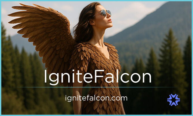 ignitefalcon.com — 2