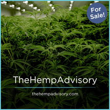 TheHempAdvisory.com - Creative brandable domain for sale