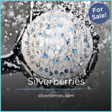 Silverberries.com - Unique premium domain names