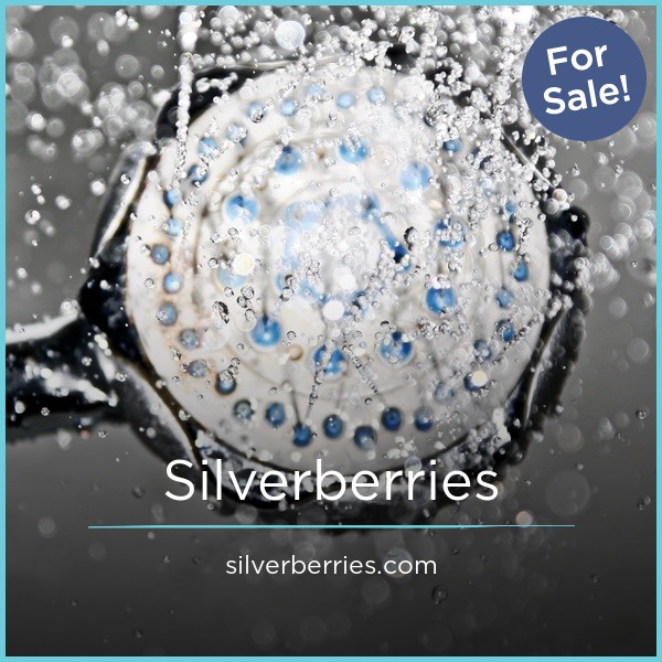 Silverberries.com image 2