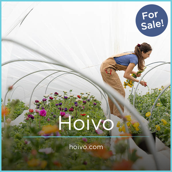 Hoivo.com - Good premium names