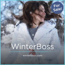 WinterBoss.com - Great domains for sale