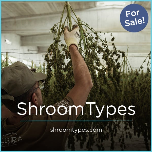 ShroomTypes.com image 1