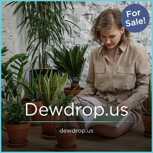 DewDrop.us