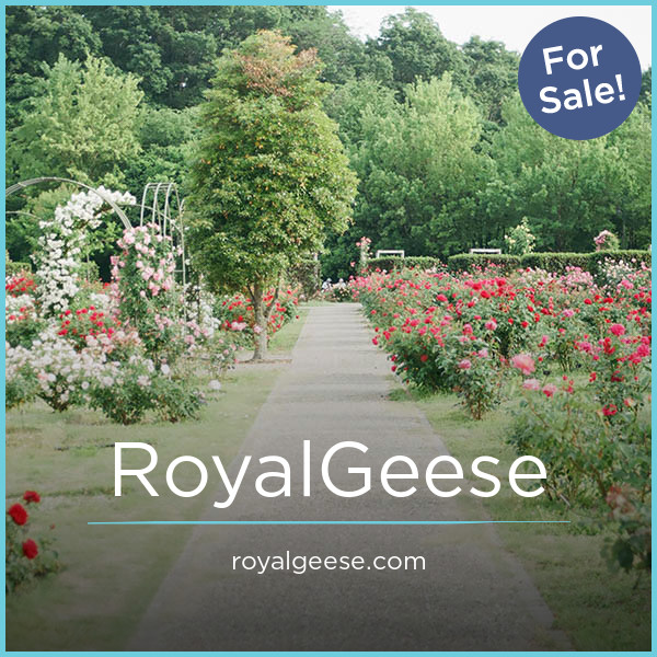 RoyalGeese.com - buy Unique premium domains