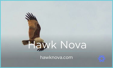 HawkNova.com - Catchy premium names
