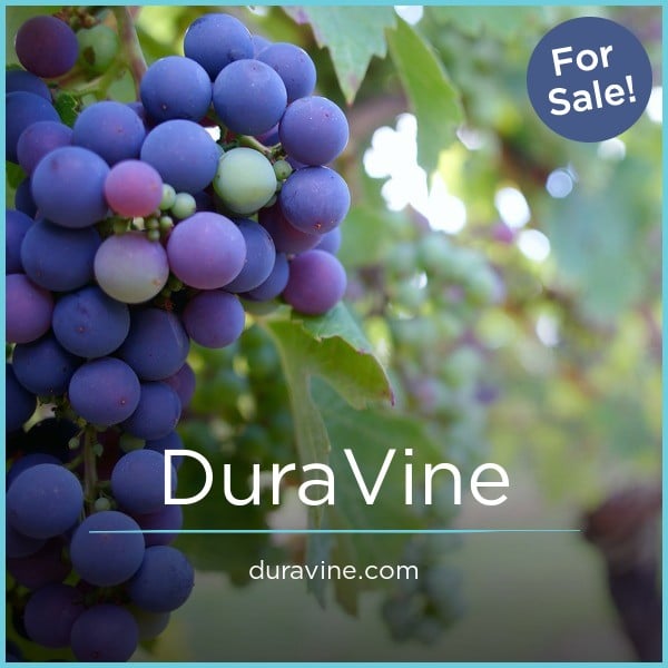 DuraVine.com - Cool premium domain marketplace
