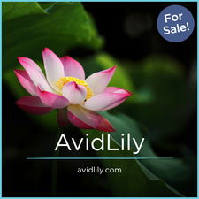 AvidLily.com - Catchy premium domains for sale