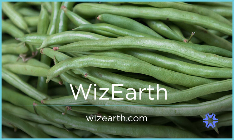 WizEarth.com image 2