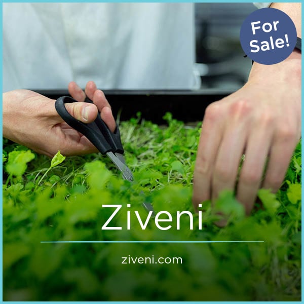 Ziveni.com - Cool premium domain names for sale