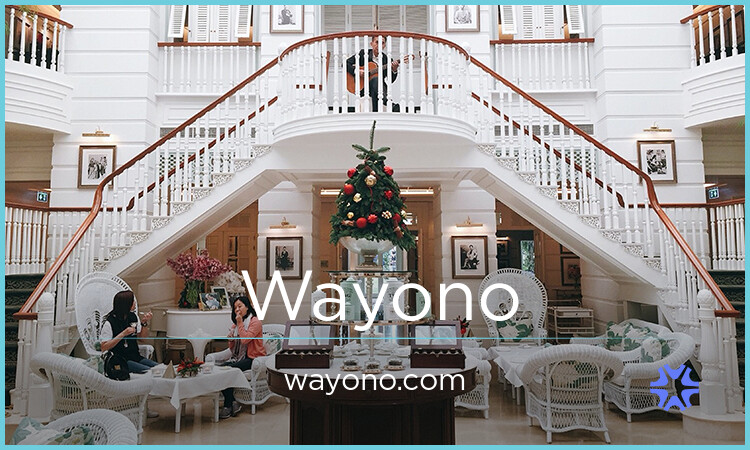 wayono.com image 2