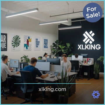 XlKing.com