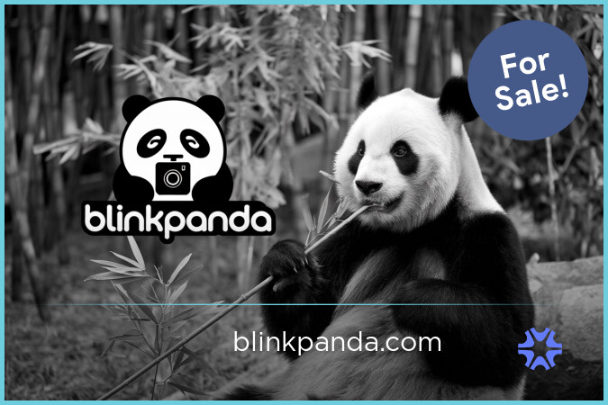 BlinkPanda.com - Unique premium domain names for sale