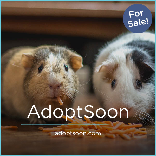 AdoptSoon.com image 2