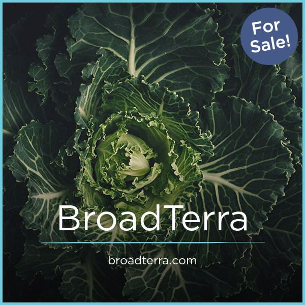 BroadTerra.com - Best premium domain marketplace