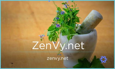 ZenVy.net - Creative brandable domain for sale