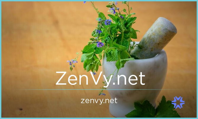 ZenVy.net