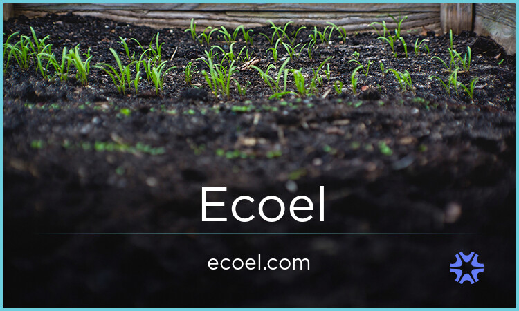 Ecoel.com - Unique domains for sale