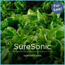 SureSonic.com - Creative premium domain names