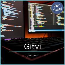 Gitvi.com - buying New premium names