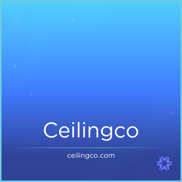 CeilingCo.com image 2