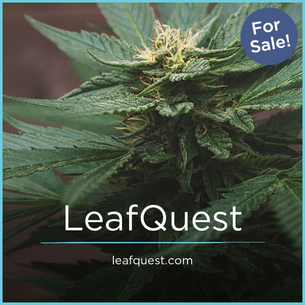 LeafQuest.com — 2