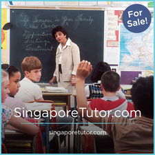 SingaporeTutor.com - Creative brandable domain for sale